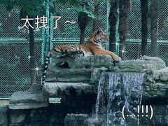 -上海野生动物园