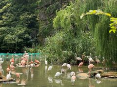-宁波野生动物园