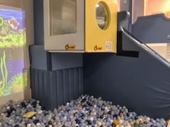 -KIDults童伴儿亲子餐厅(达美中心广场店)