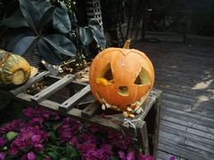 -成桂西餐厅·42年的味道(五大道疙瘩楼店)