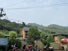 -Local泰莲庭(虹鳟鱼店)