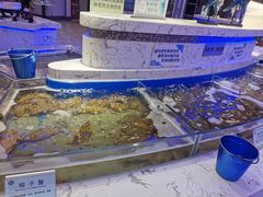 -澜悦港海鲜体验主题餐厅