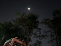 -星海公园(番禺区)