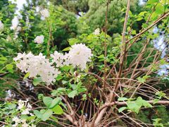 -白塘生态植物园