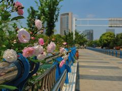 -天鹅湖体育公园