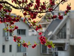 -乌山风景区