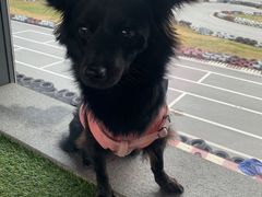 -雪浪山卡丁车俱乐部