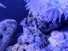 -海合安天津极地海洋公园