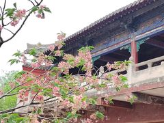 -洛阳白马寺