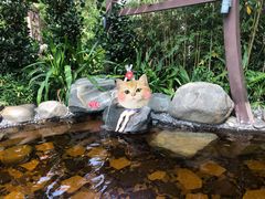 -台山颐和温泉城