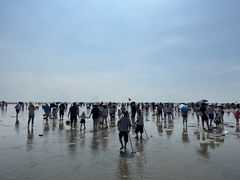 -红树林天天赶海