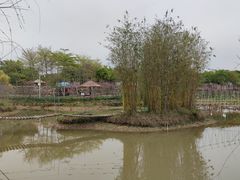 -天适樱花悠乐园