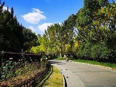 -黄兴公园