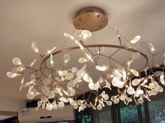 -侨美·唐荔园·40年地道粤菜