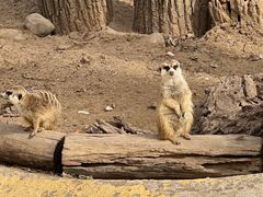-北京野生动物园