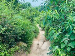 -白马涧龙池景区