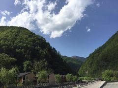 -牛背梁国家森林公园