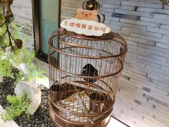 -小厨娘淮扬菜(六合欢乐港店)