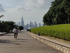 -深圳湾公园(南山区)
