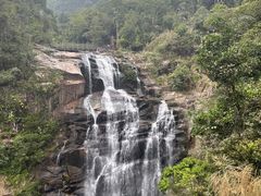 -海南热带雨林国家公园吊罗山景区