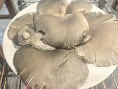 -友乐居羊蝎子(西直门店)