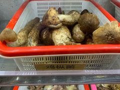 -菌海森林·非遗野生菌火锅(西山区滇池路摩根道店)