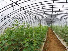 景点-祥源·阜阳生态乐园