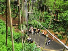 -梦幻奥陶纪景区
