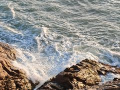 -广东惠东海龟国家级自然保护区