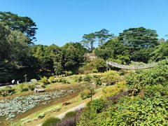 -东莞植物园