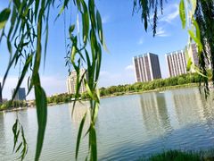 -南翔镇银翔湖公园