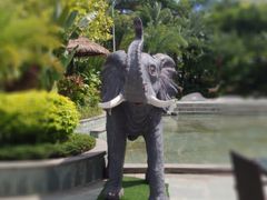 -碧桂园润杨溪谷温泉酒店