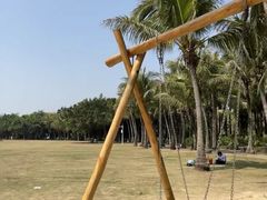 -欢乐海岸椰林沙滩-2025湾区超级灯会