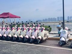 -养马岛旅游度假区
