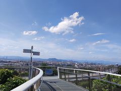 -仙岳公园