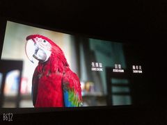 -AMG海上明珠影城(上海环球港RealDCinema店)