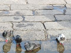 -槟城观音庙(Goddess of Mercy)