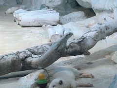 -珠海长隆海洋王国