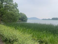 -东湖落雁景区