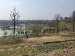 -大塘金香草谷