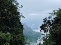 -峨眉山风景名胜区