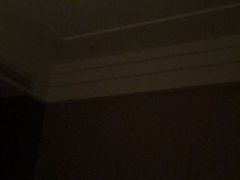 -东方帝景假日酒店