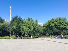 -群力丁香公园