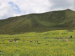 -扁都口生态休闲旅游区
