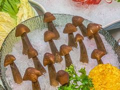 -喜聚薈·花膠雞海鮮火鍋(越秀店)