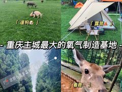 -武陵山森林公园