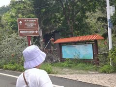 -海南热带雨林国家公园吊罗山景区