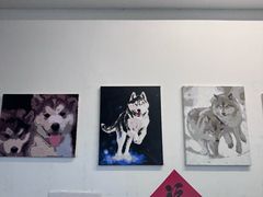 -星多哈·狗咖·拼豆·咖啡