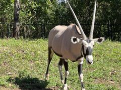 -大连森林动物园