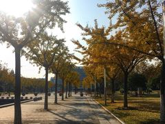 -复旦张江校区食堂